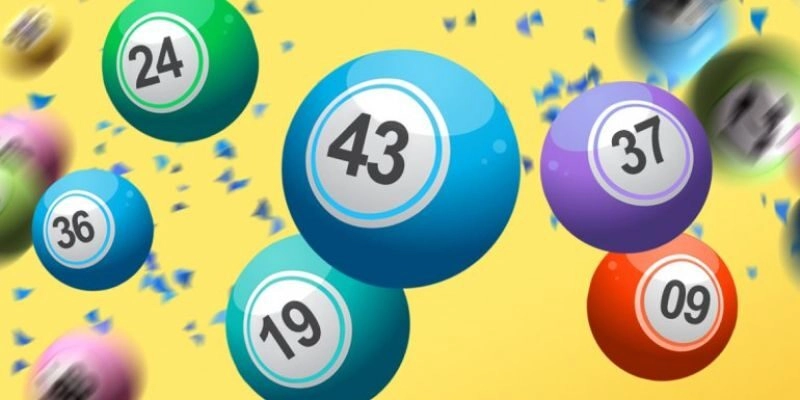 bach-thu-lo-kep-khung-1-ngay